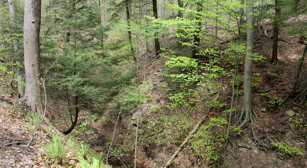 day hiking in the cuyahoga valley national park