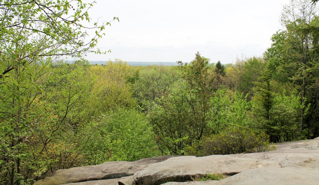 Day Hiking in the Cuyahoga Valley National Park