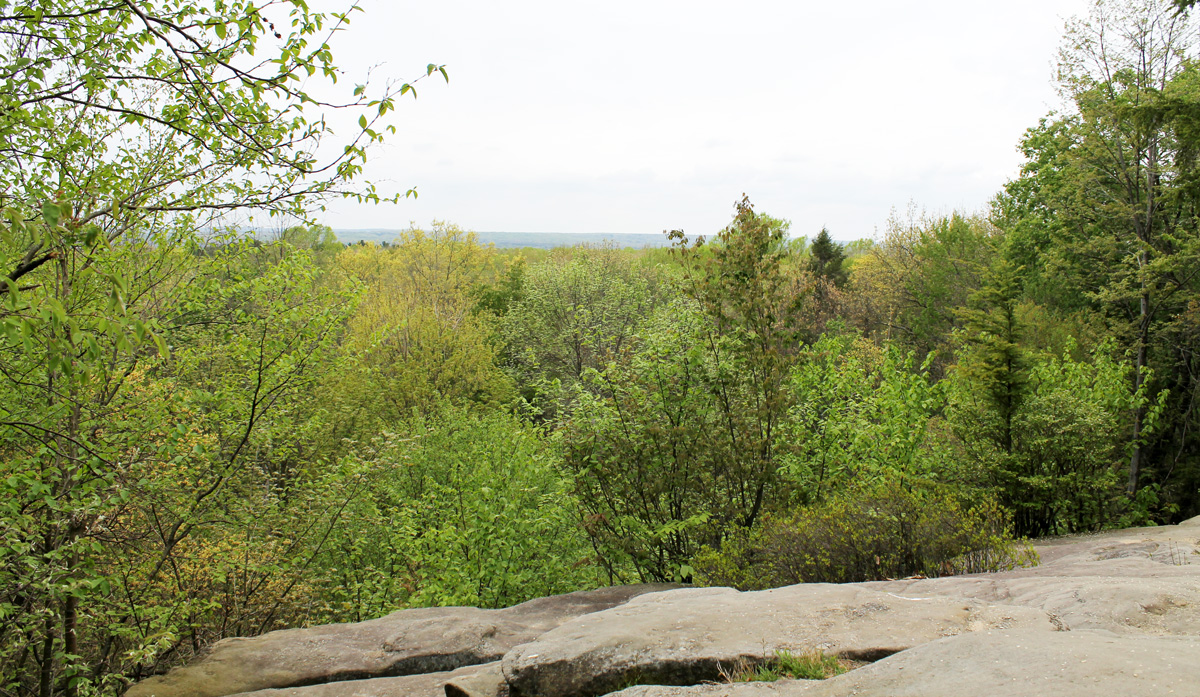 Cuyahoga Overlook