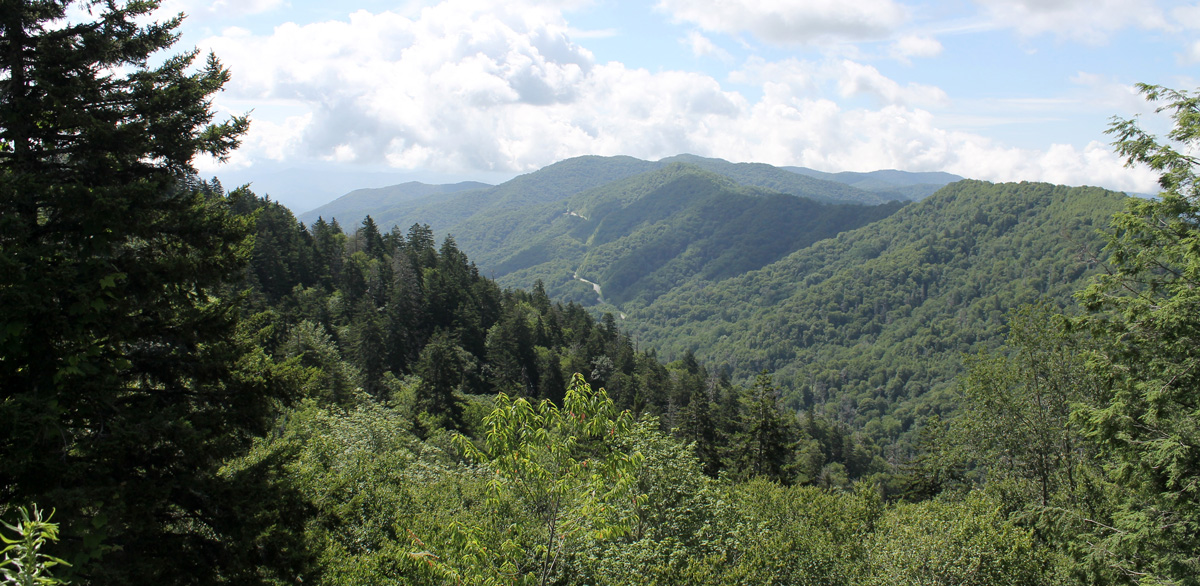 Newfound Gap Overlook