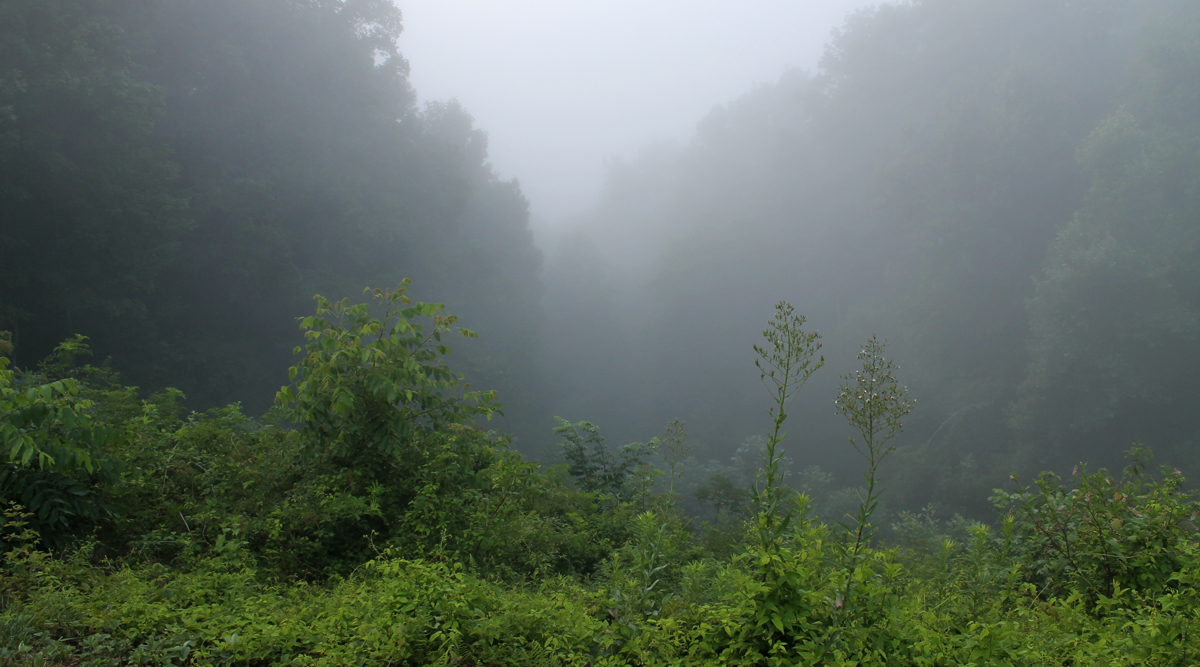 great smoky mountains vacation