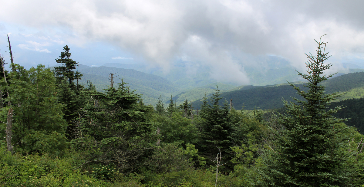 Clingmans Dome View