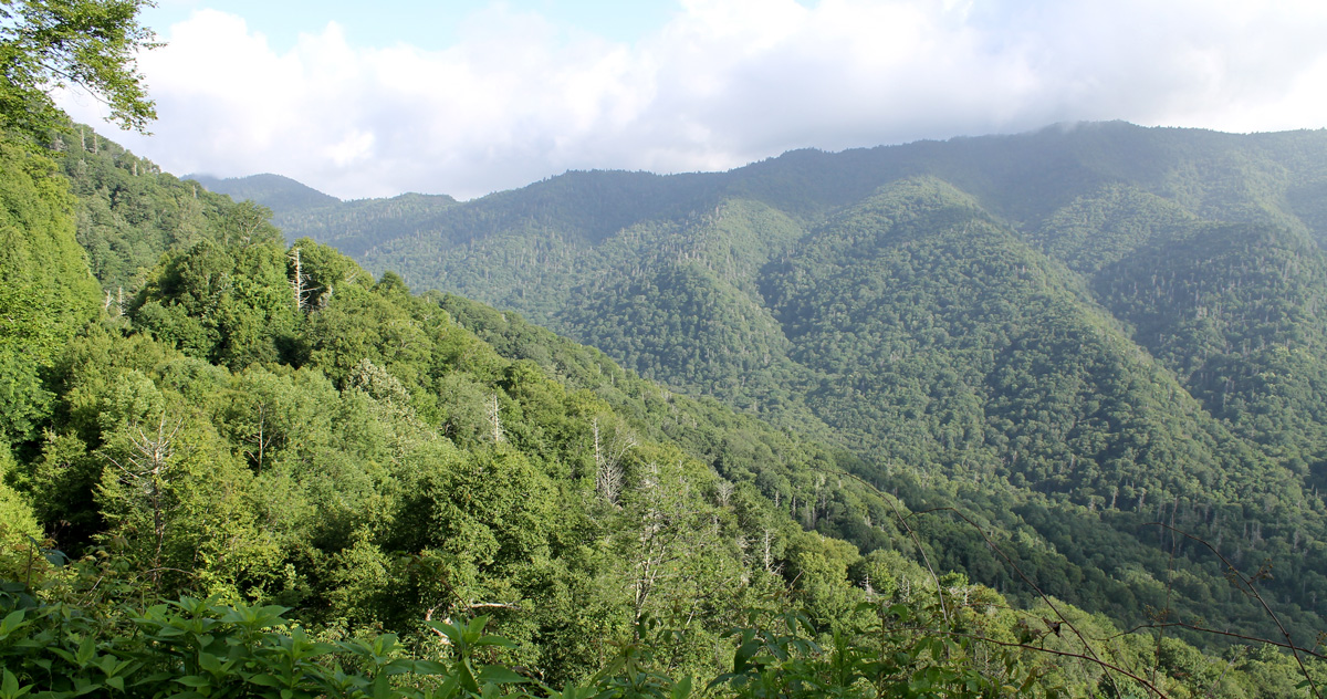 sunny great smoky mountains
