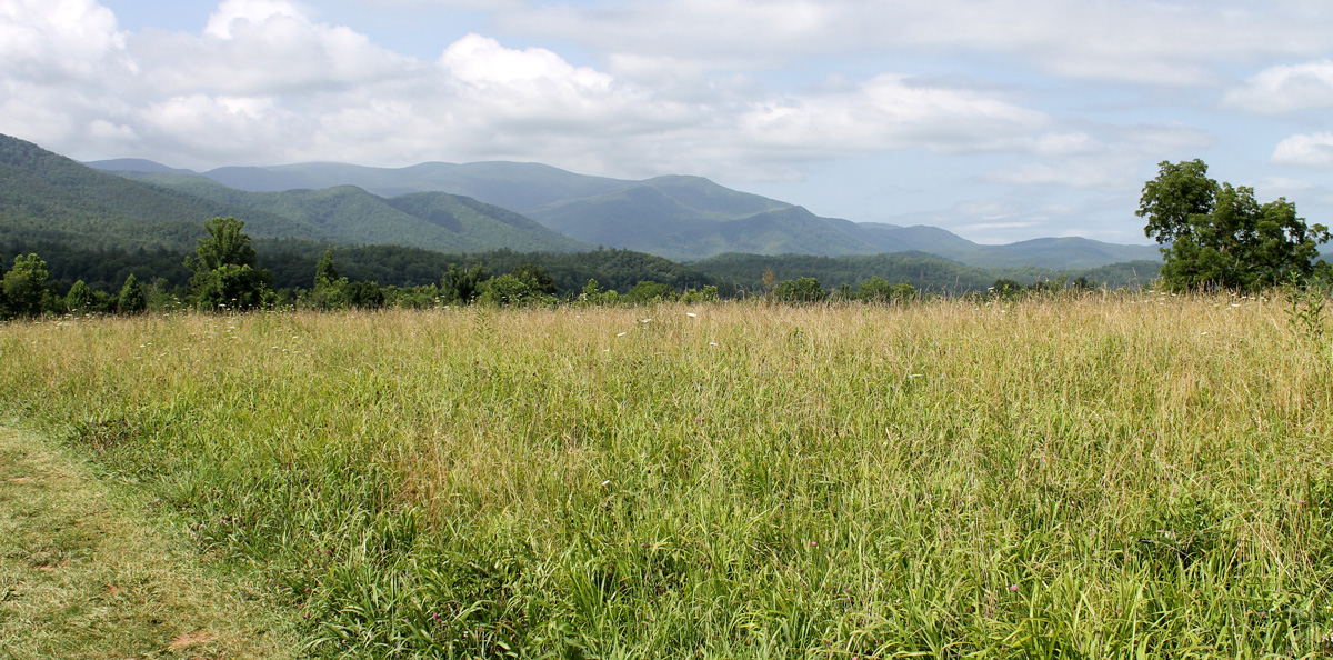 Cades Cove