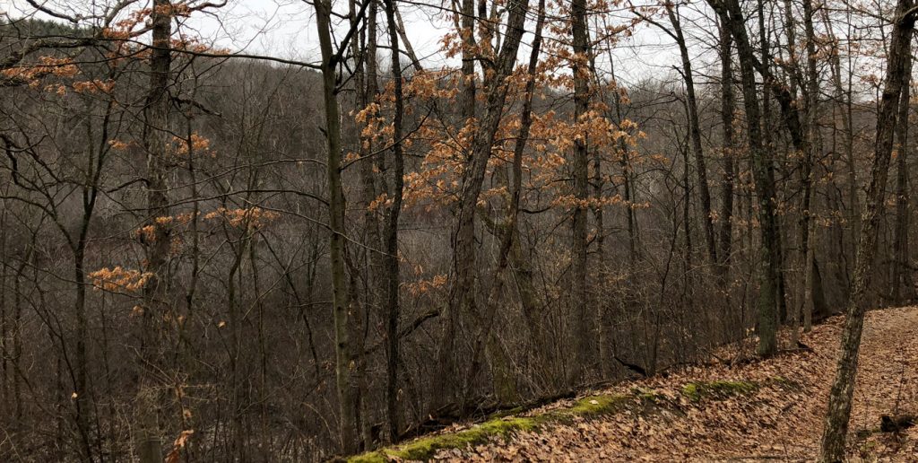 Hiking in Island Lake Recreation Area - I Hiked 16 Miles!