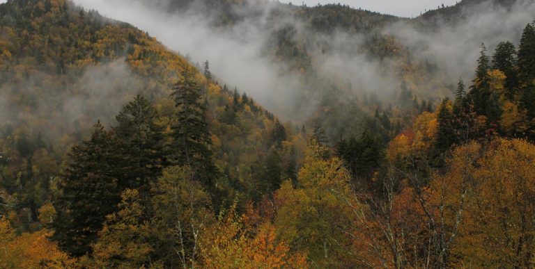 Camping in the Great Smoky Mountains