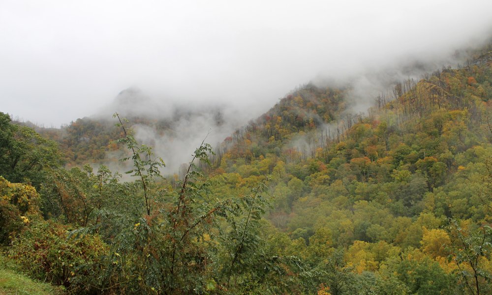 Great Smoky Mountains