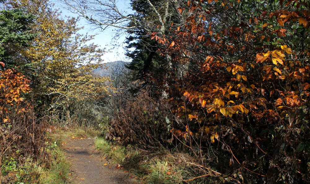 Great Smoky Mountains