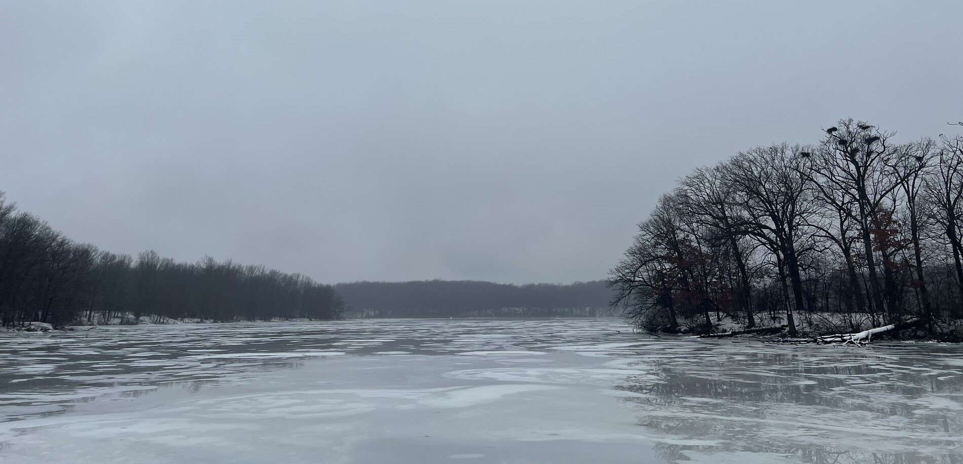Resetting Myself with Meditation at Kensington Metropark