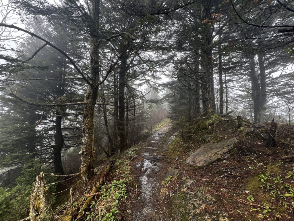 The Appalachian Trail in the Great Smoky Mountains