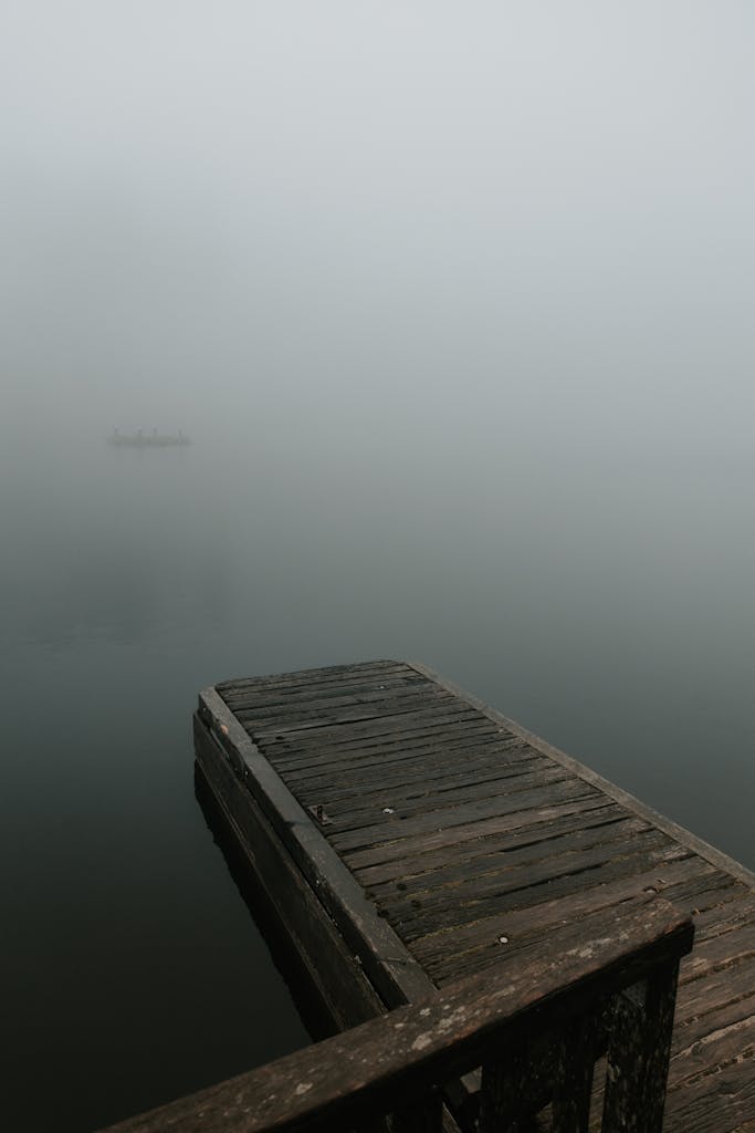 Moody mist envelops a wooden pier in a foggy forest setting, creating an atmospheric scene.