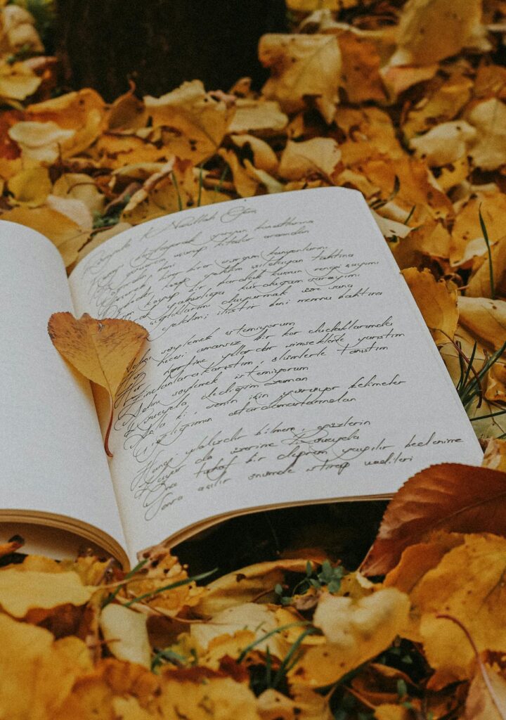 Open book resting on a bed of autumn leaves, offering a perfect blend of nature and literature.