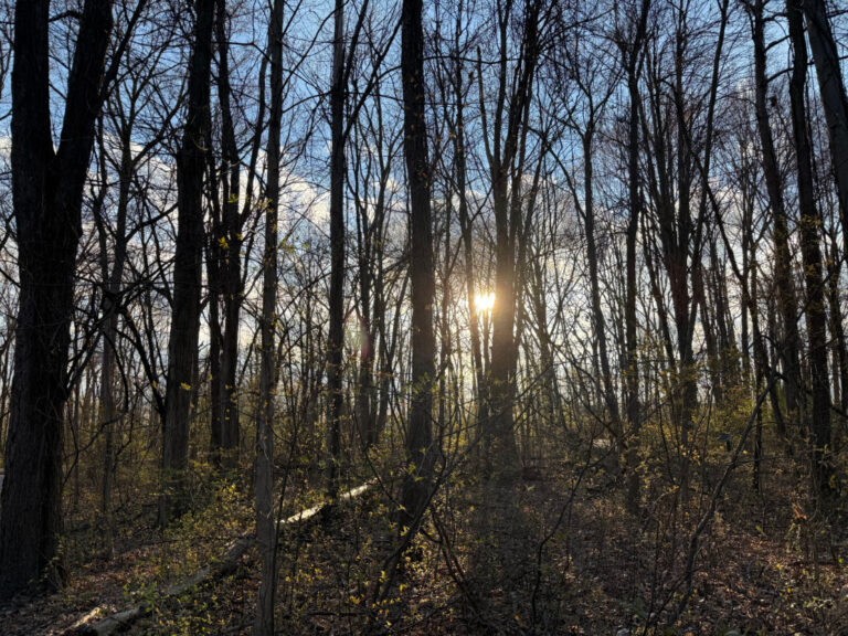 Getting Ready to Write my Novel